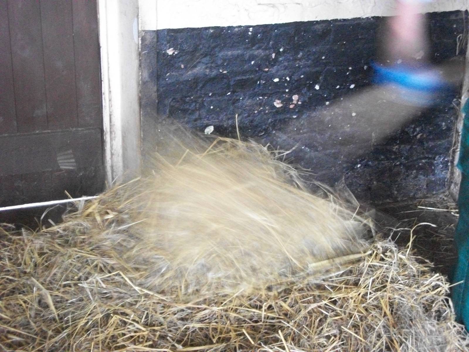 A bed-making whirlwind, 8th August 2014