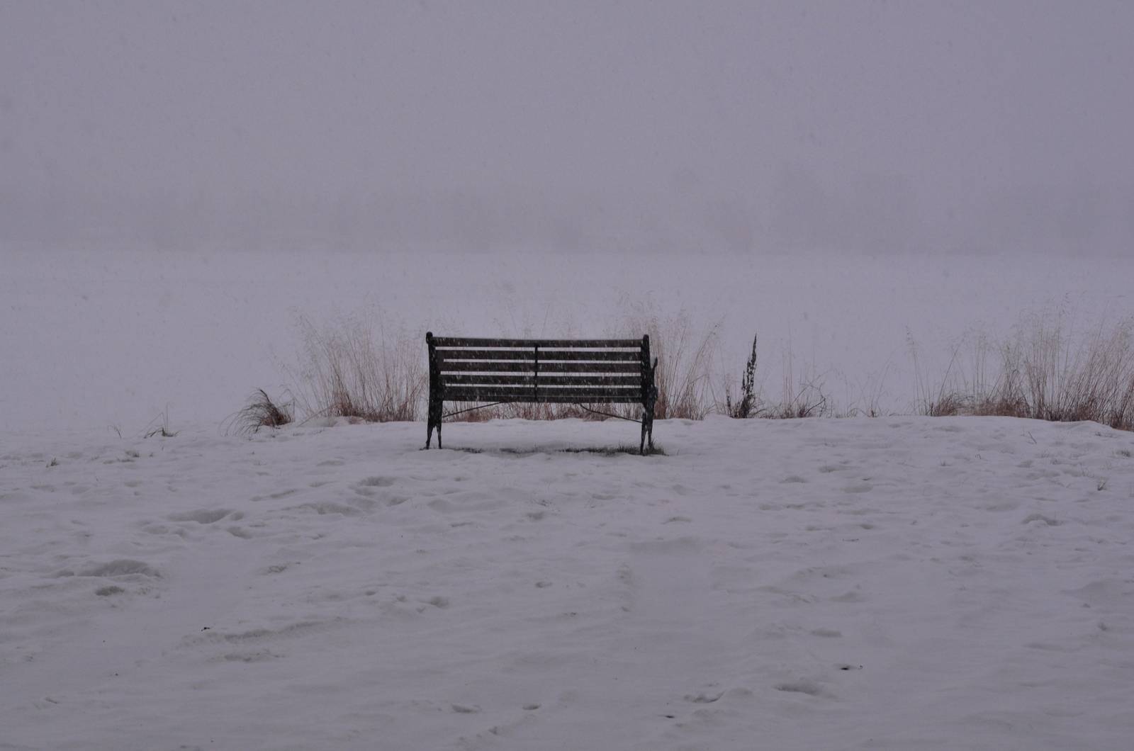 A Bench overlooking Lake Hood - Alaska