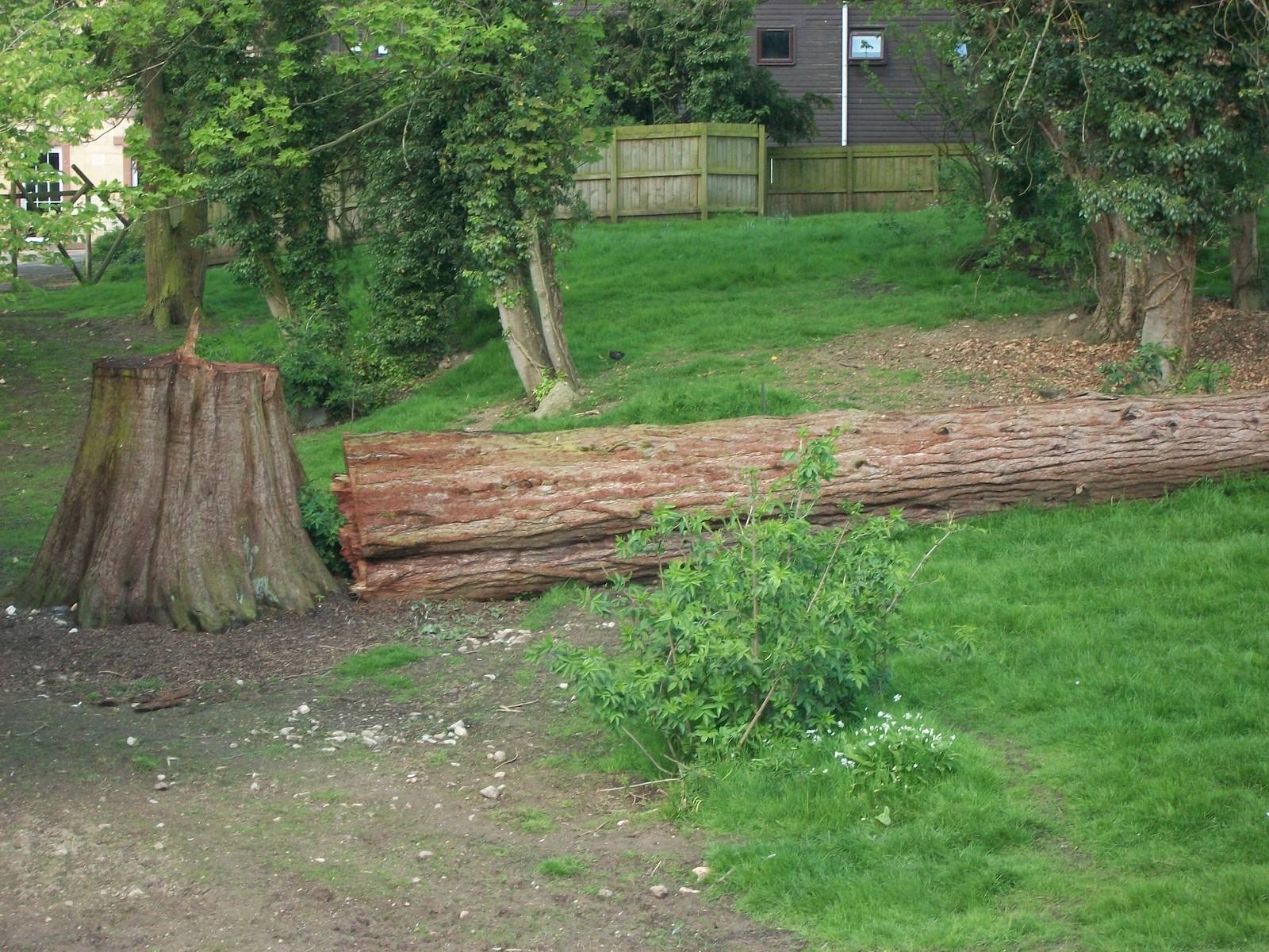 A bit of history has fallen, 6th May 2013