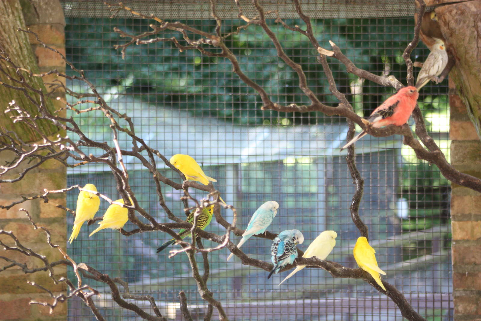 A blaze of colour, 9th August 2014