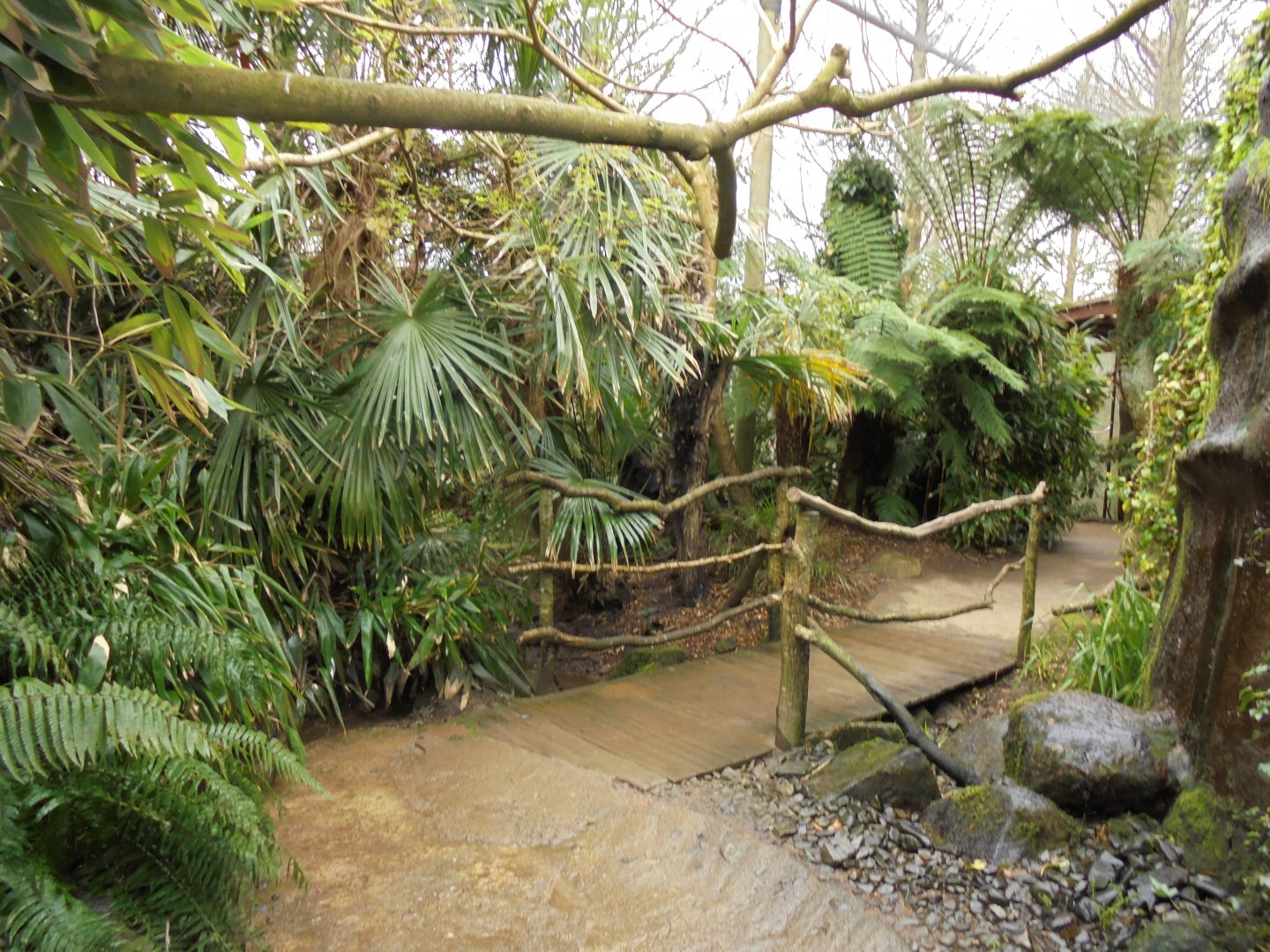A bridge in the exhibit