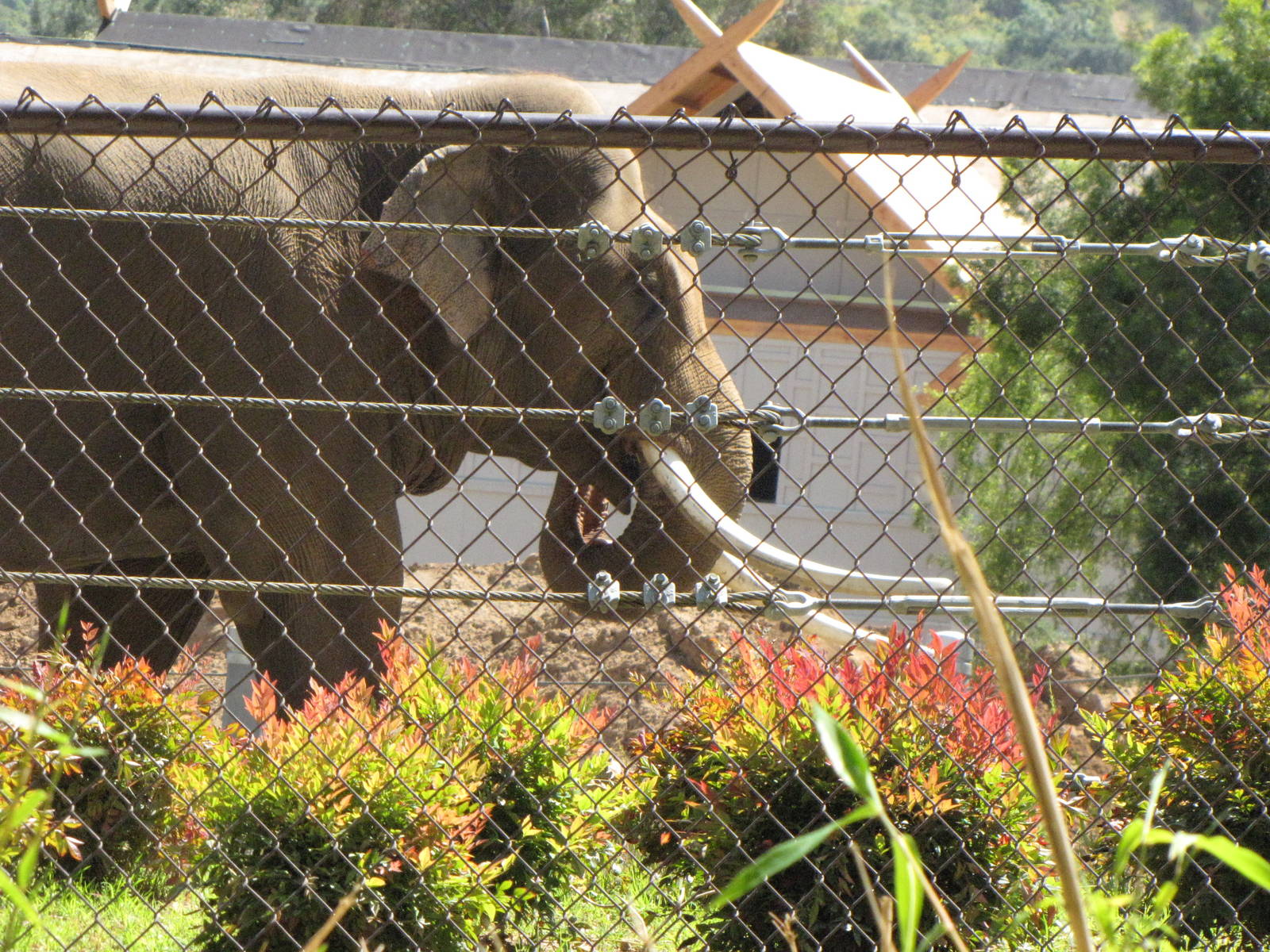 A Brief View of Billy Cruising His Space