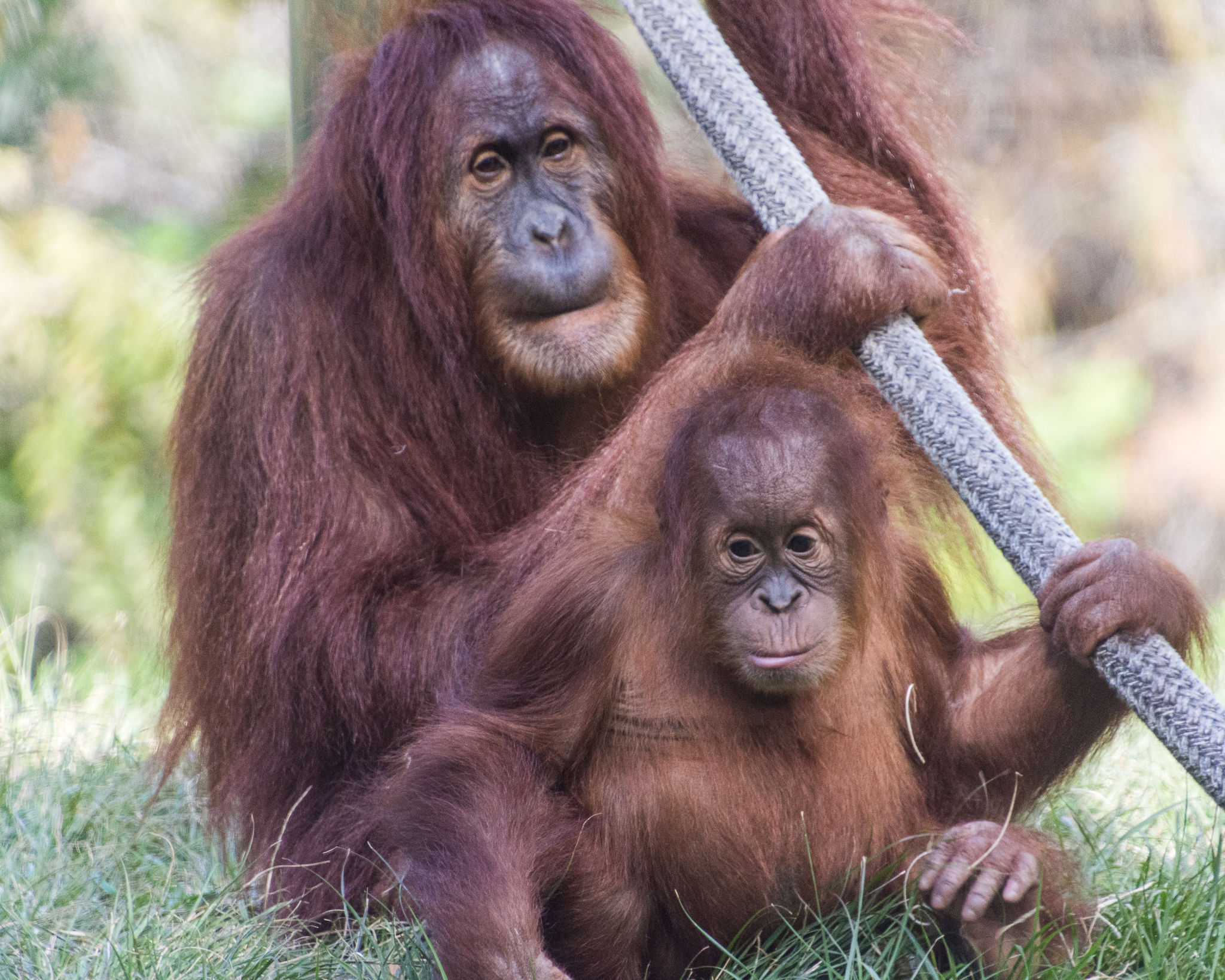 A brother and sister moment