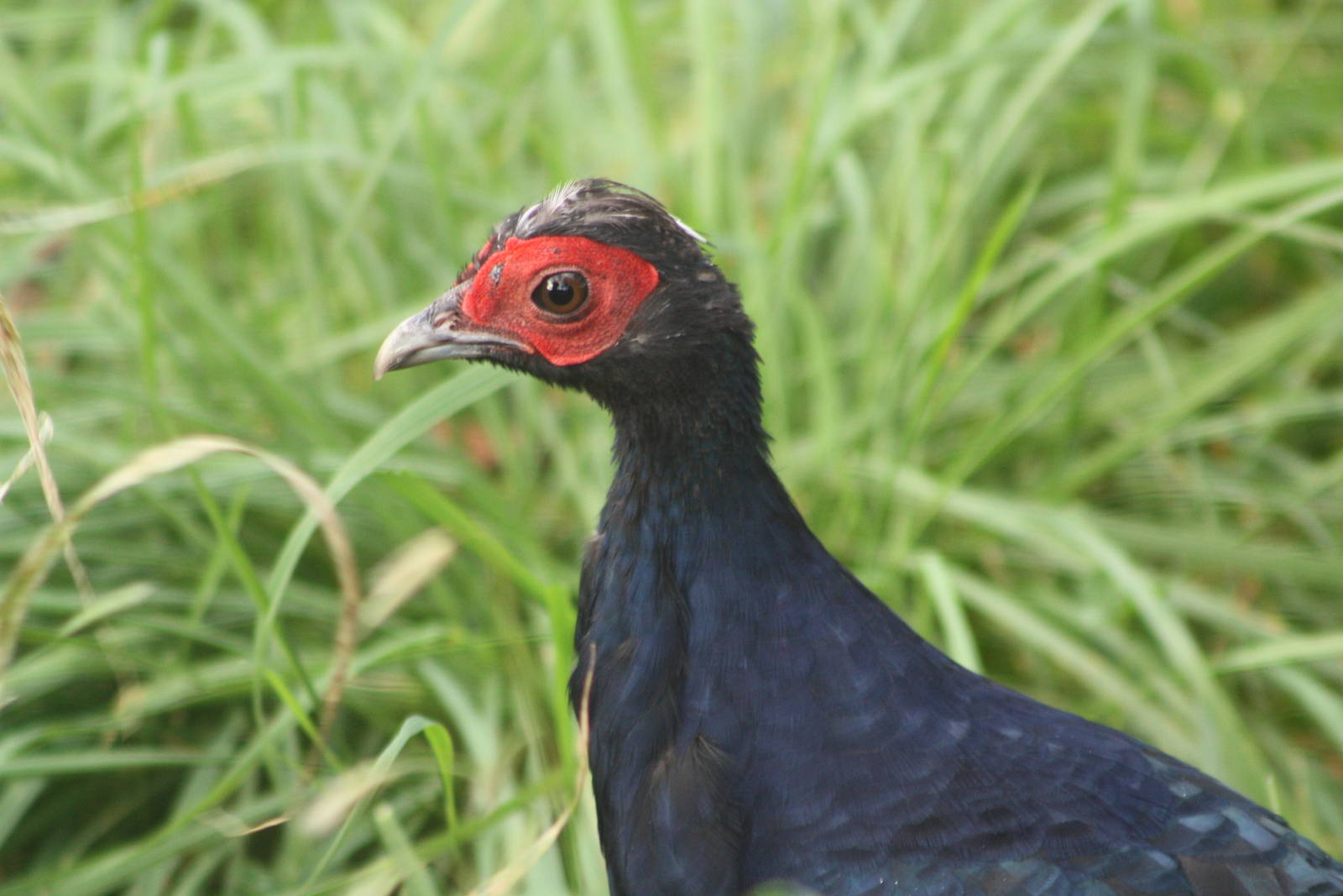 A bumper week for arrivals V, 19th October 2014