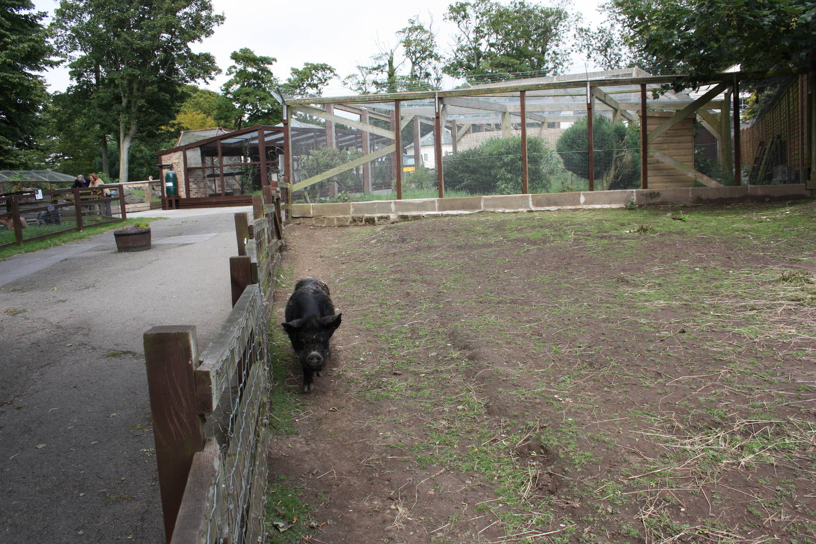 A change of scene for Pugwash too, 11th July 2014