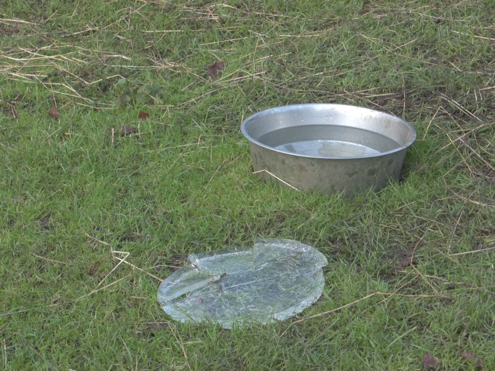 A chilly day, 31st December 2014