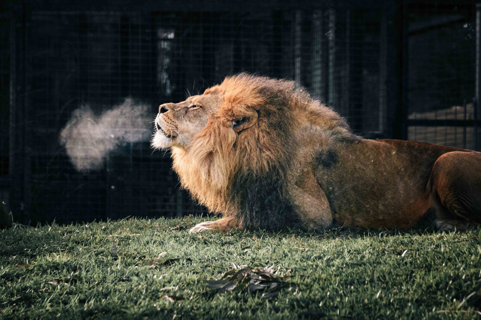 A chilly Melbourne morning