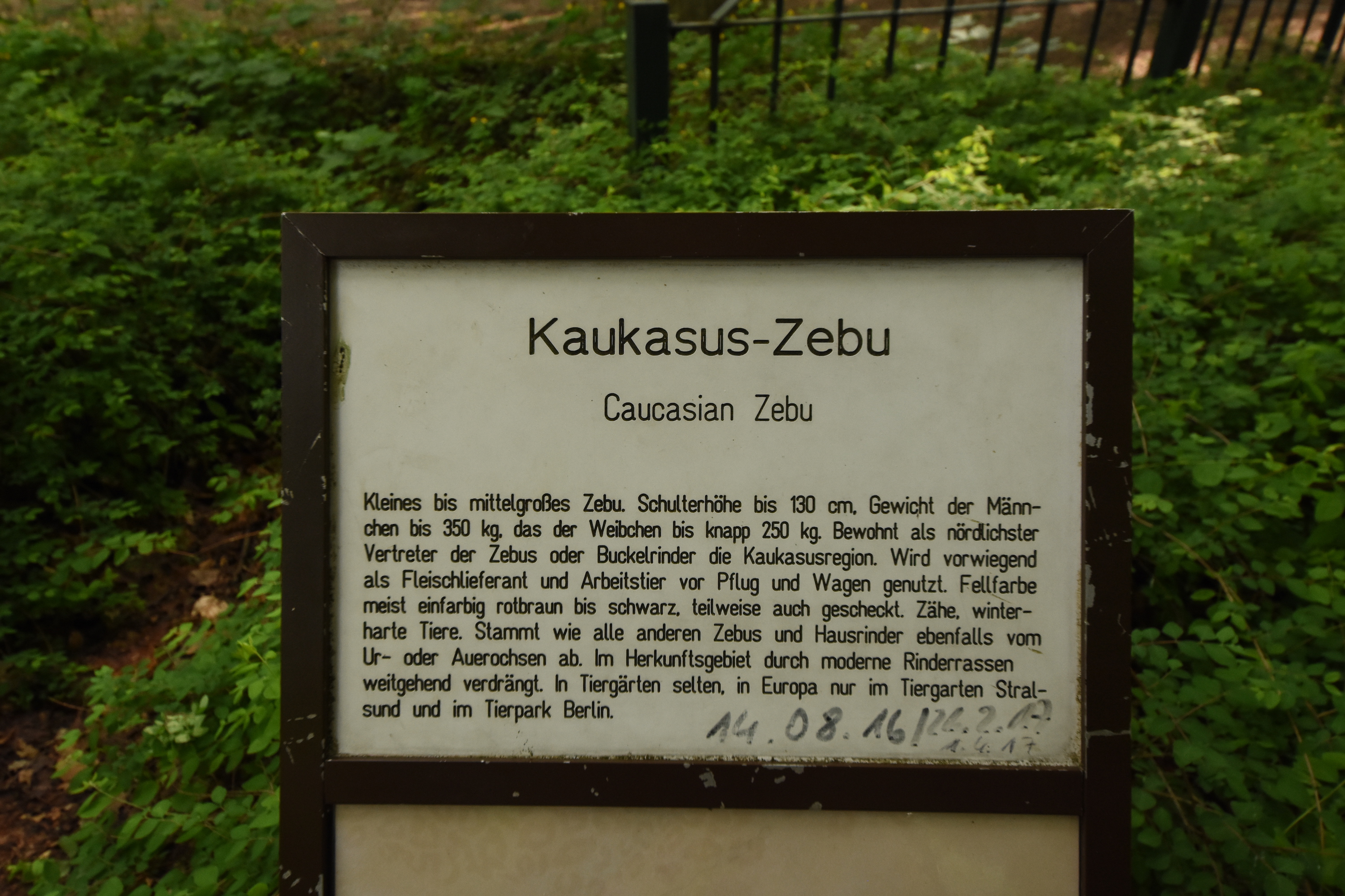 A classical example of bad zoo signage