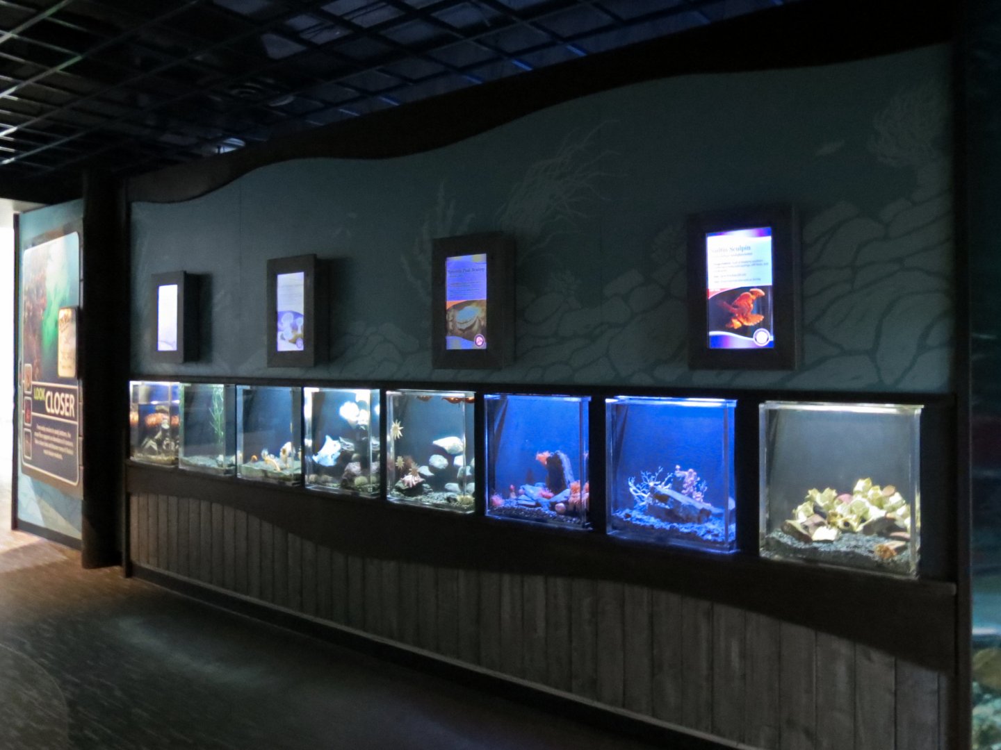 A Closer Look Exhibits