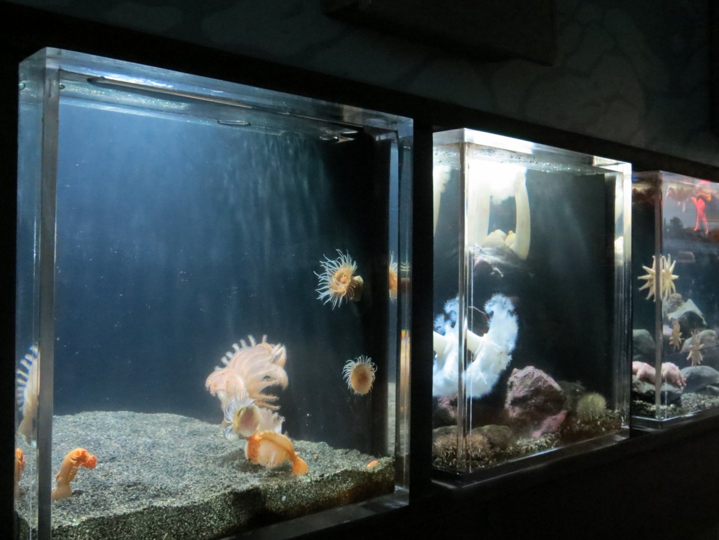 A Closer Look Exhibits