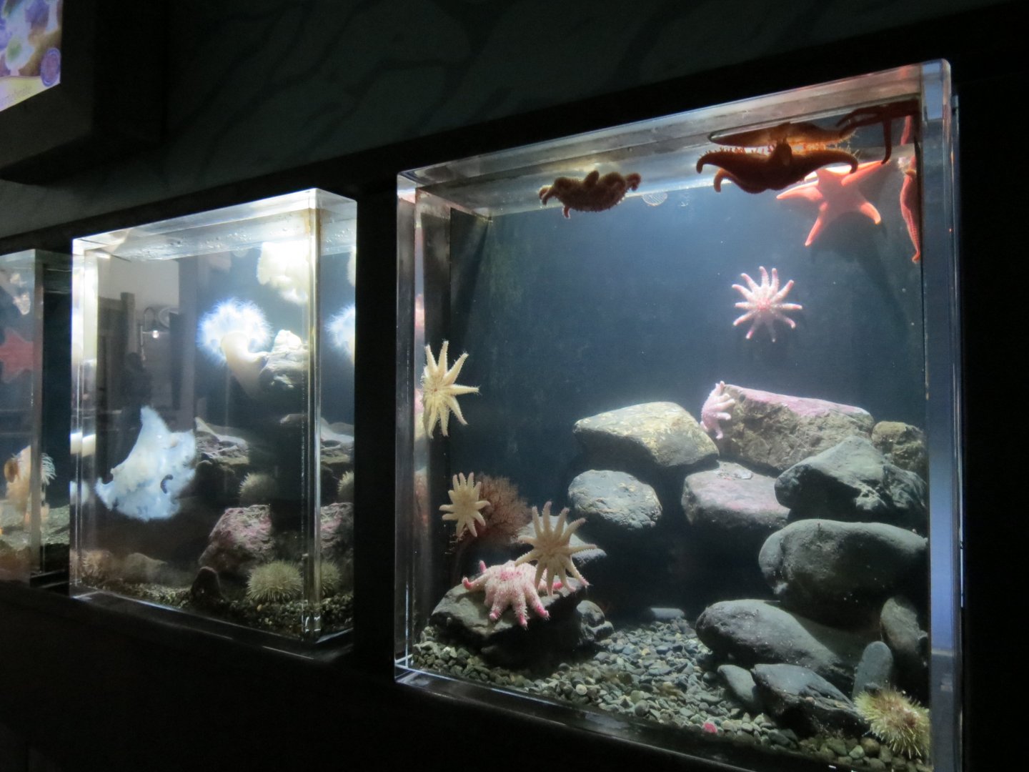 A Closer Look Exhibits