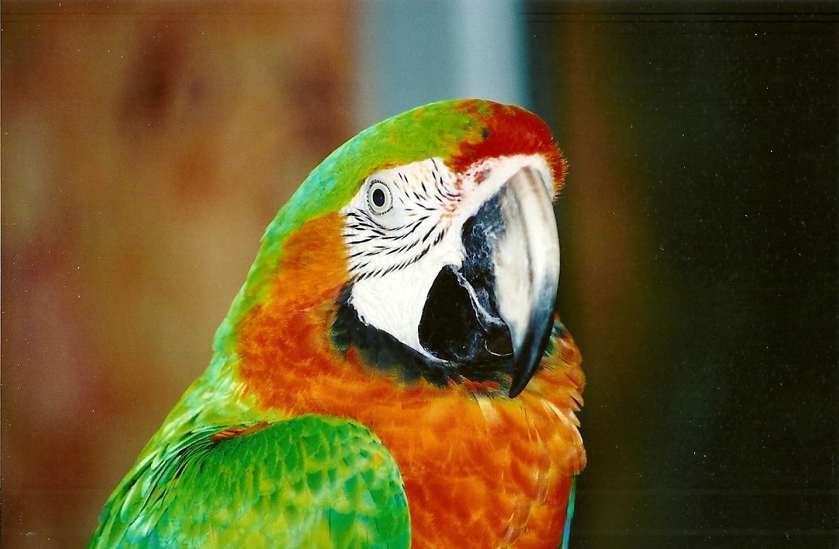 A closer view of Jo, 12th September 2008