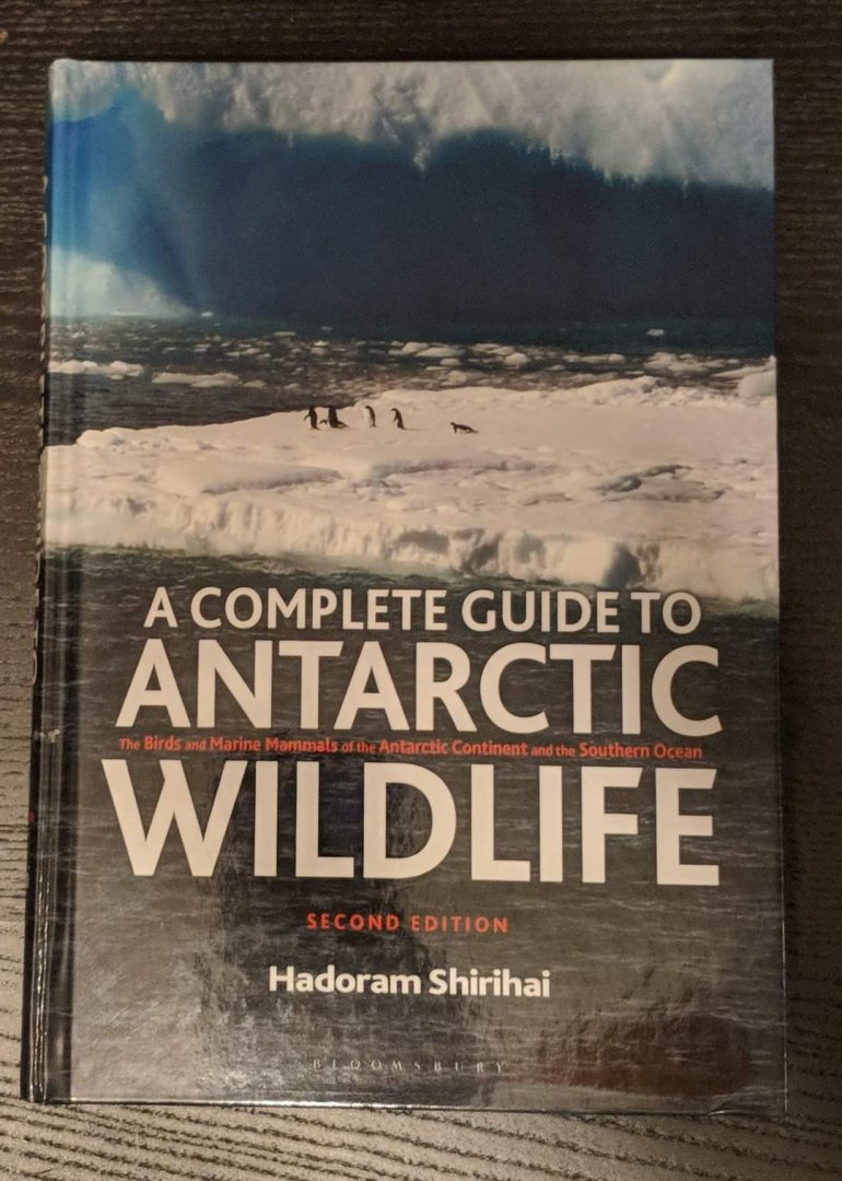 A Complete Guide to Antarctic Wildlife
