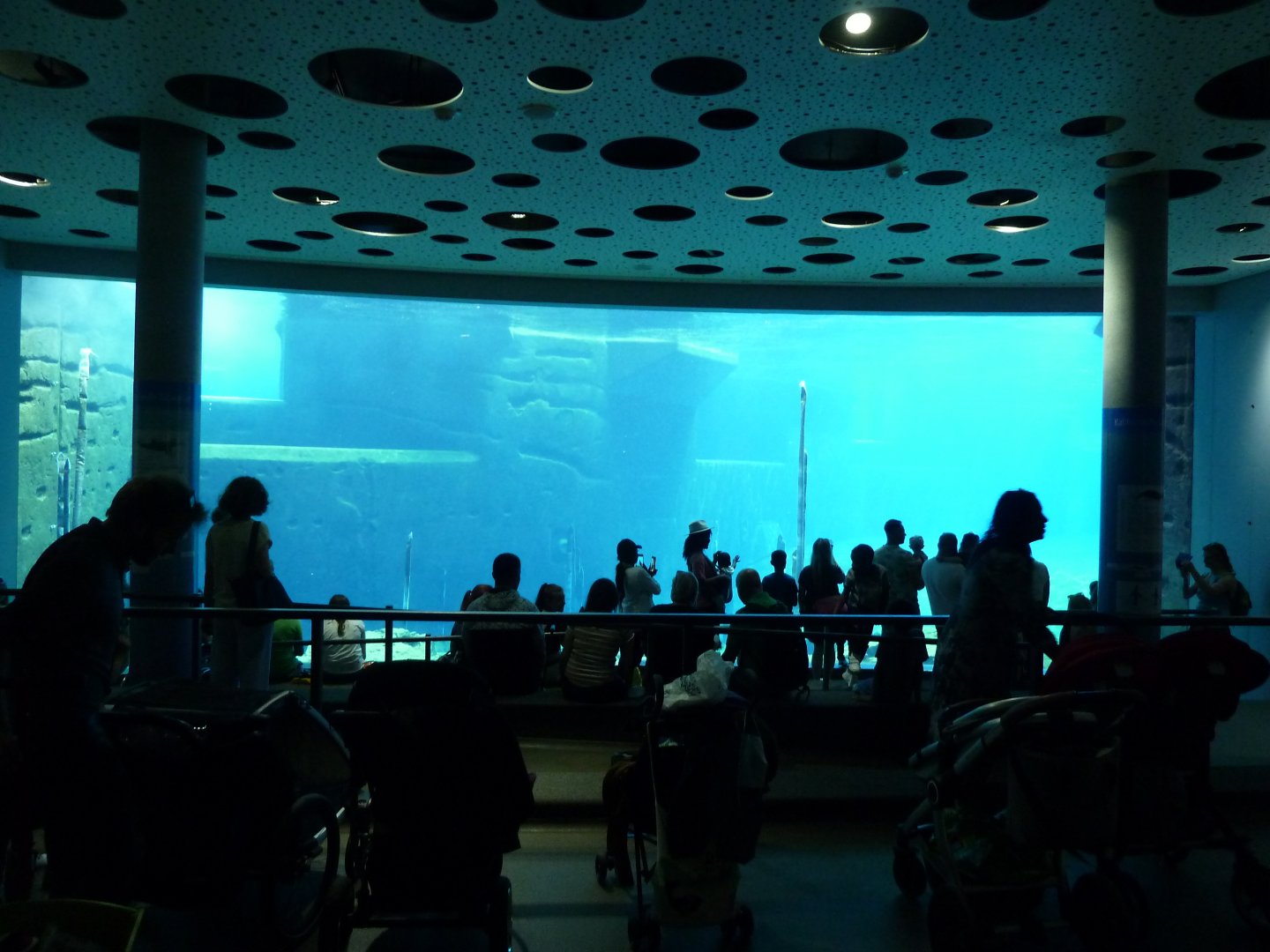 A crowdy Blue Saloon