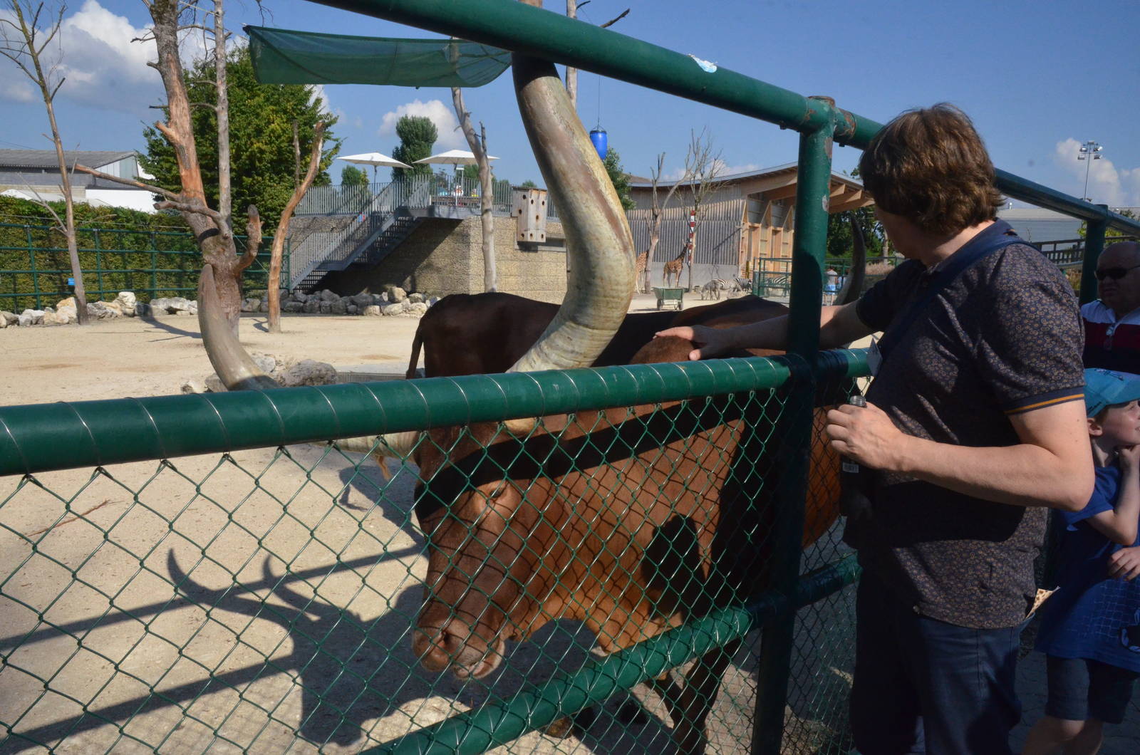 A Curious Beast at Knie Kinderzoo, 11/09/16