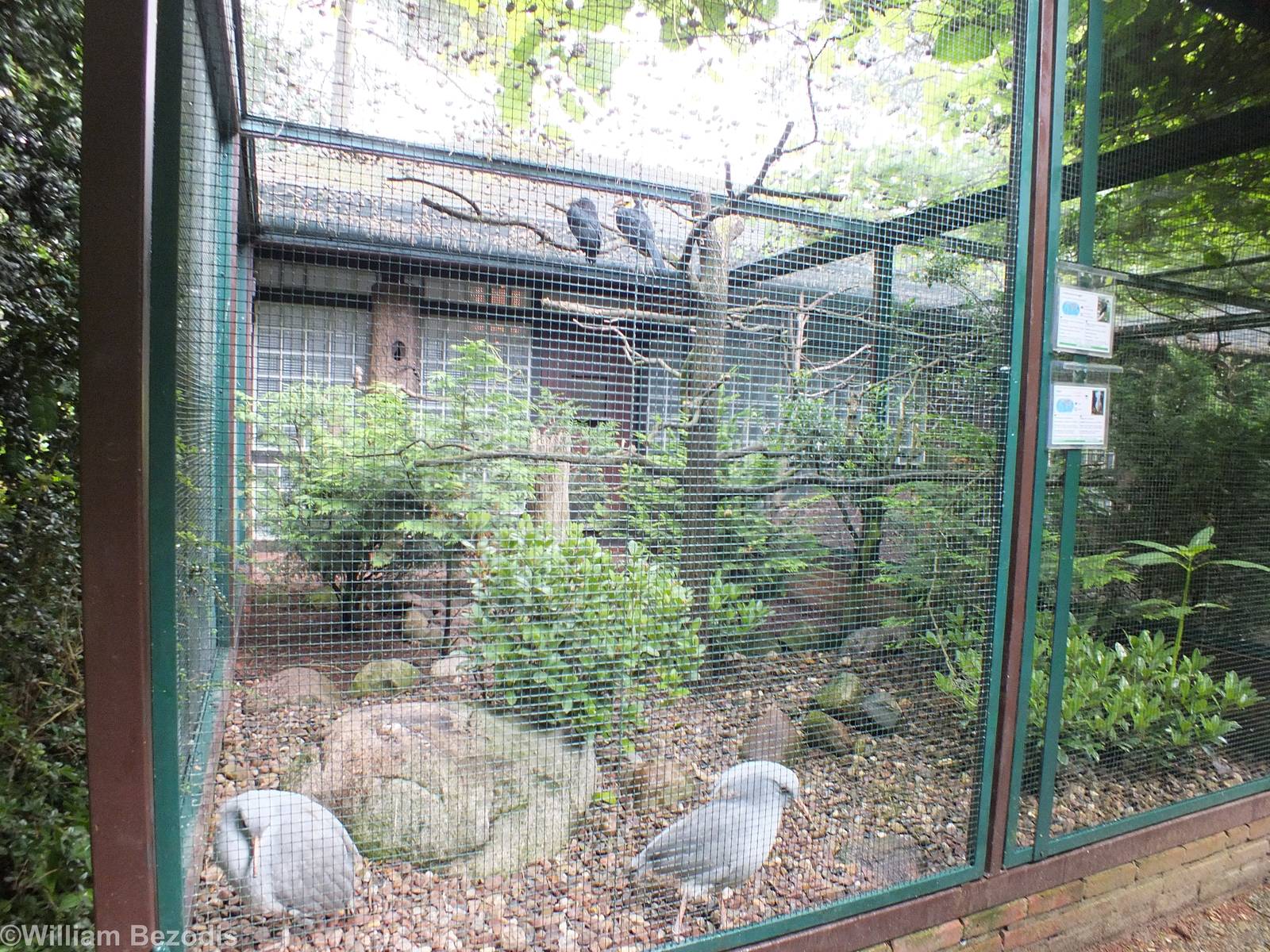 A Fairly Typical Enclosure