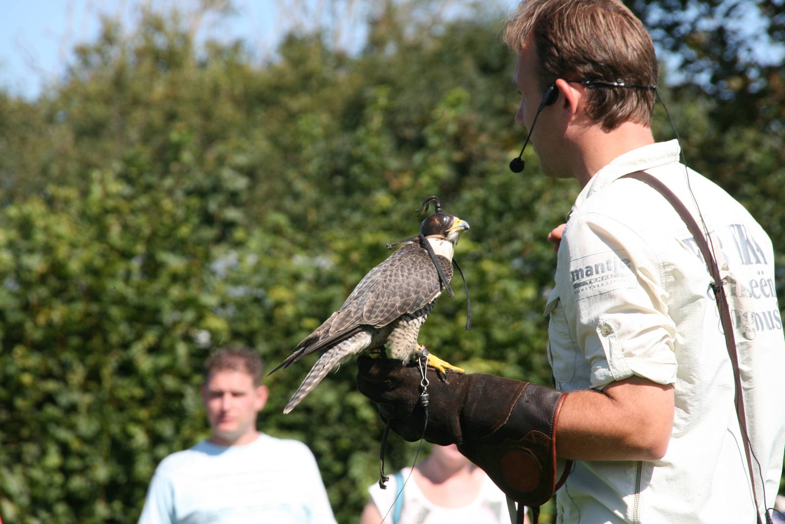 a falconer with a hooded falcon