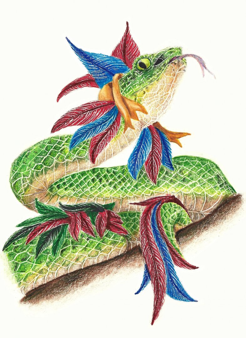 A feathered snake