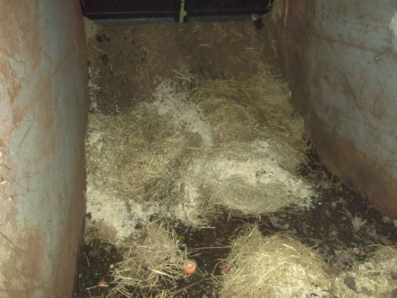 A festive view of the interior of the zoo skip, 24th December 2014