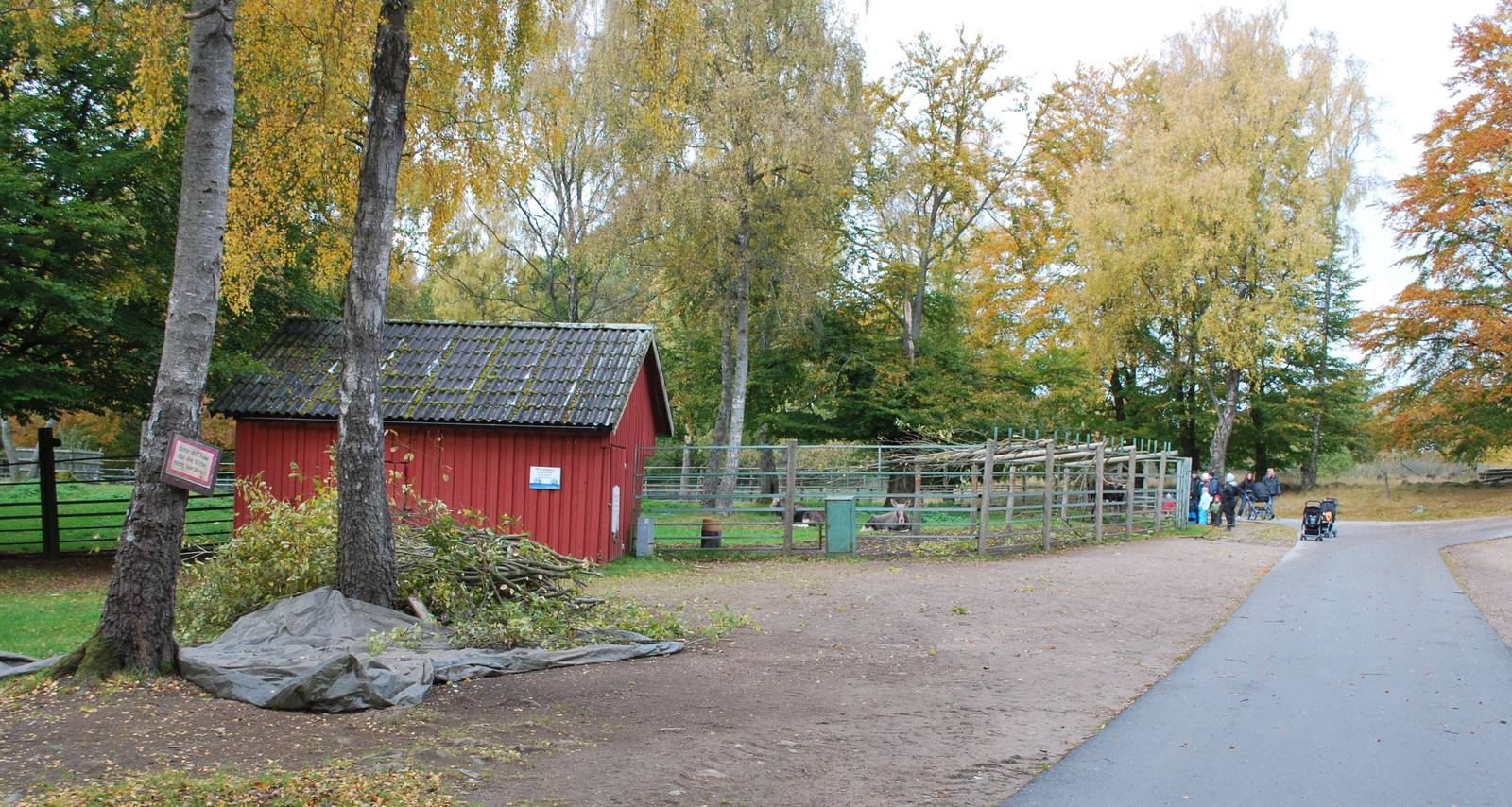 A few more autumn pictures from Skanes Animal Park