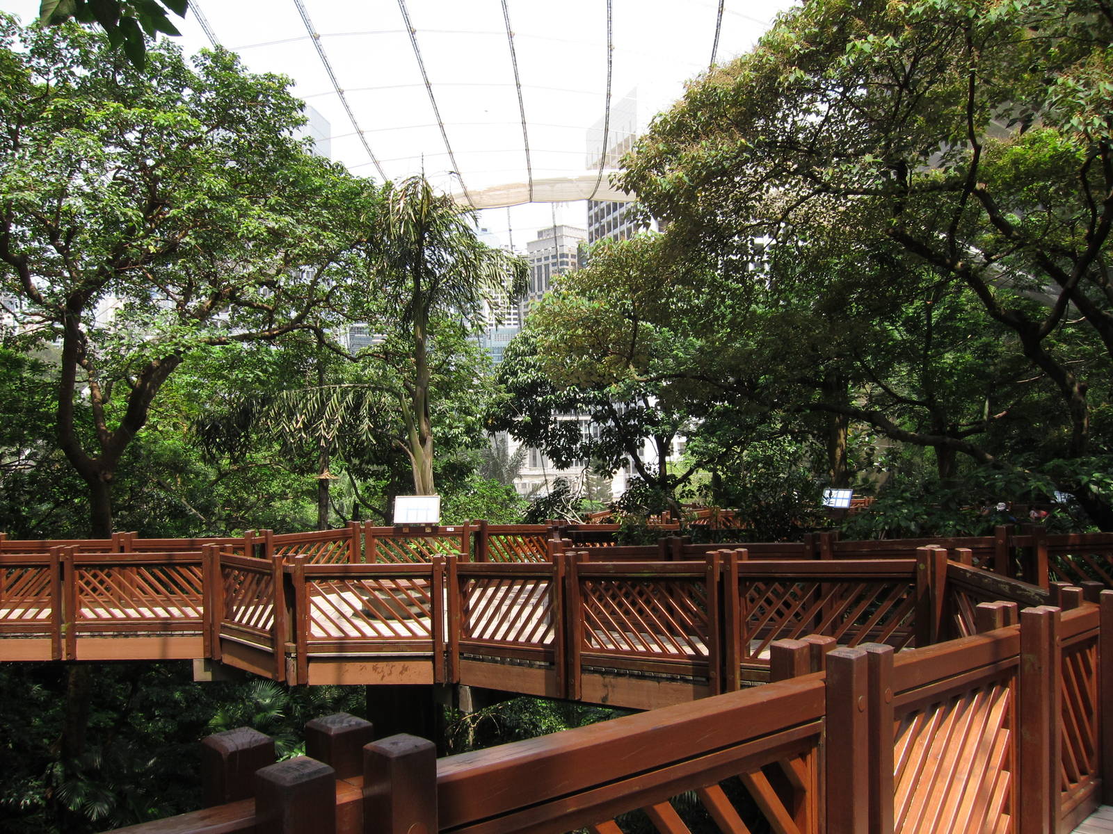 A few random shots inside the aviary