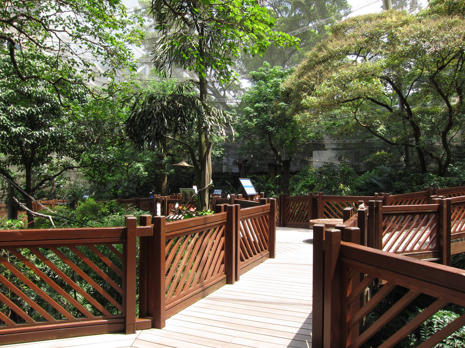 A few random shots inside the aviary