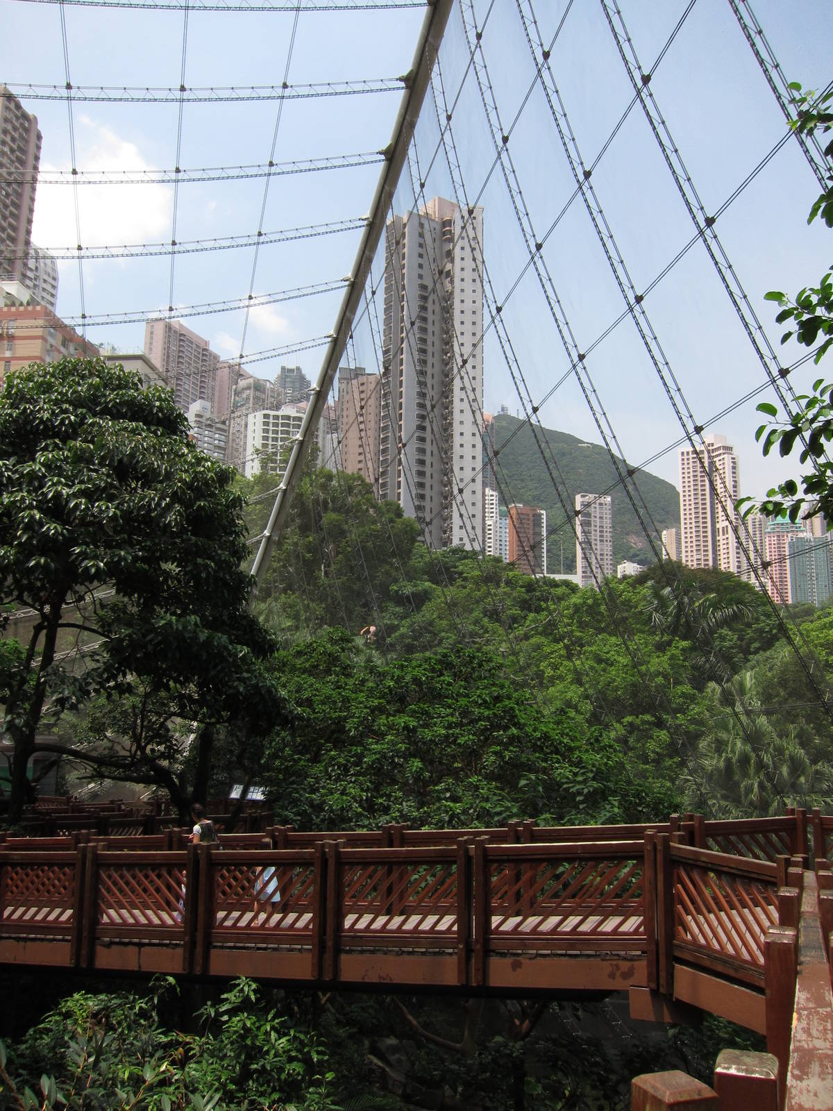 A few random shots inside the aviary