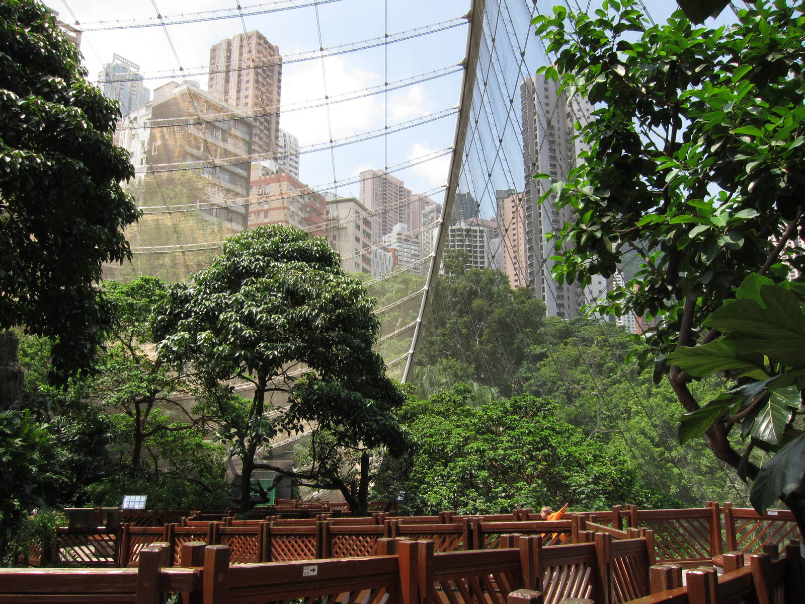 A few random shots inside the aviary