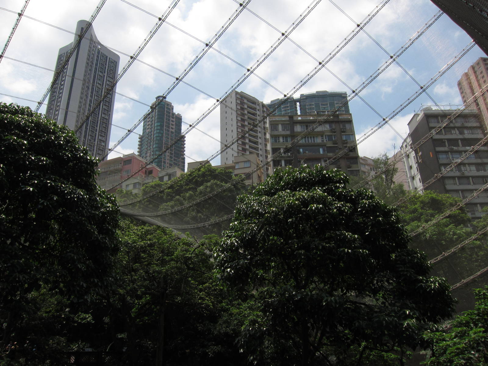 A few random shots inside the aviary