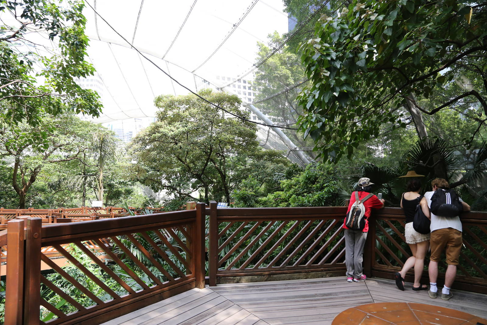 A few random shots inside the aviary