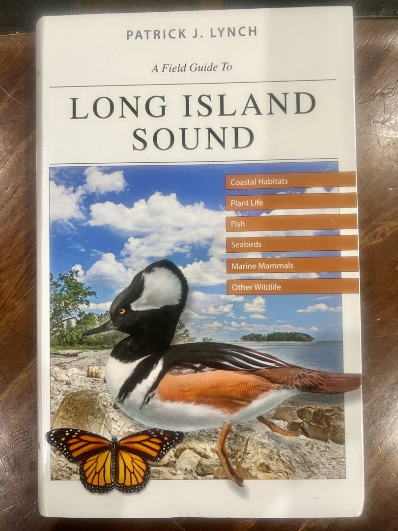 A Field Guide to Long Island Sound