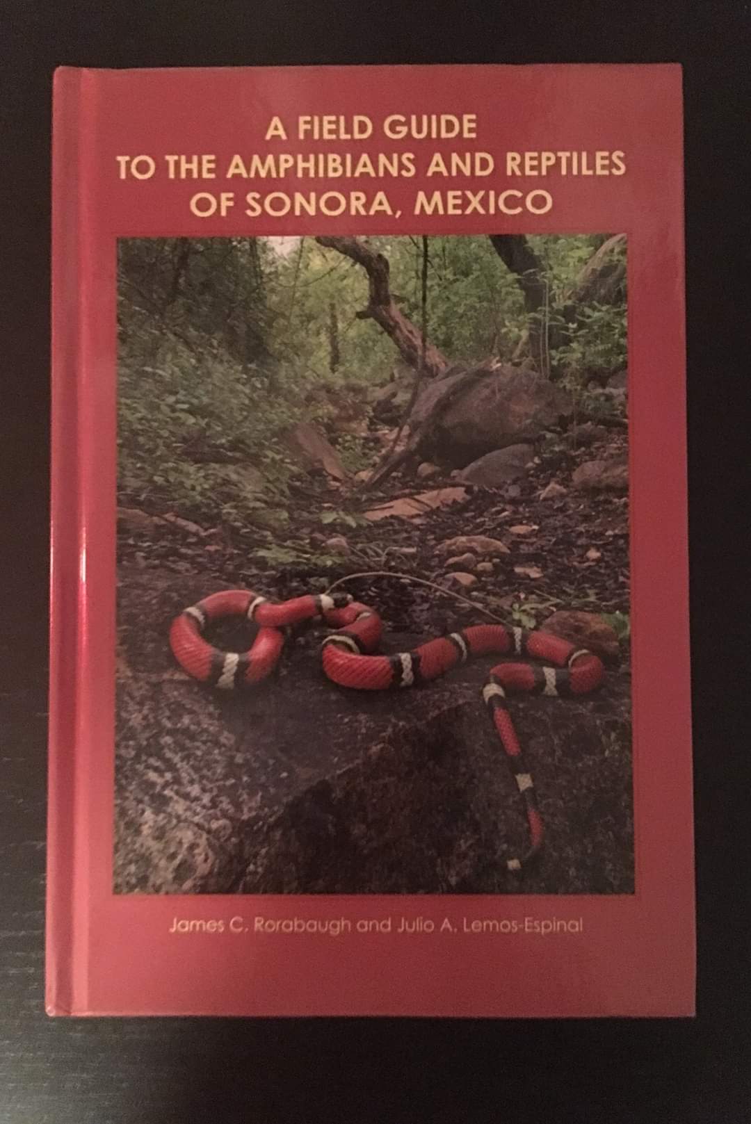 A Field Guide to the Amphibians and Reptiles of Sonora, Mexico