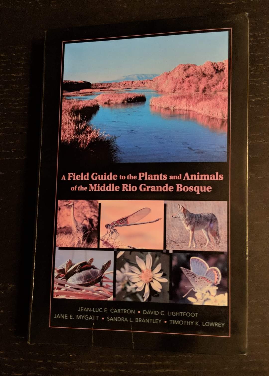 A Field Guide to the Plants and Animals of the Middle Rio Grande Bosque