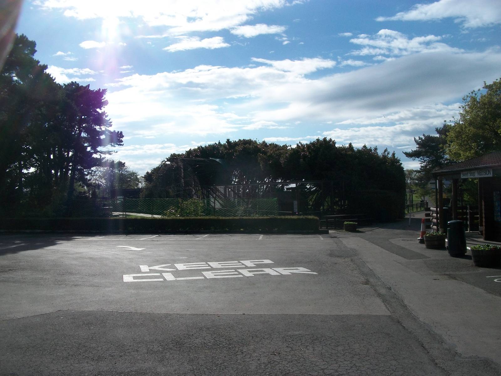 A final look back at my favourite aviary 21st May 2013