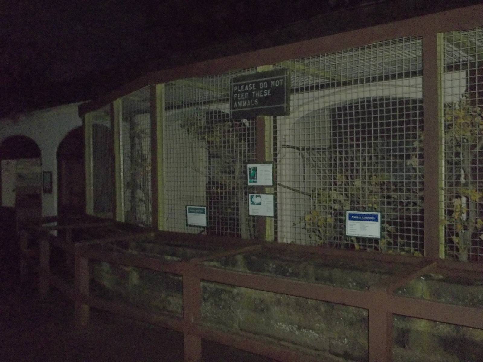 A final look before leaving for the evening, 14th November 2014