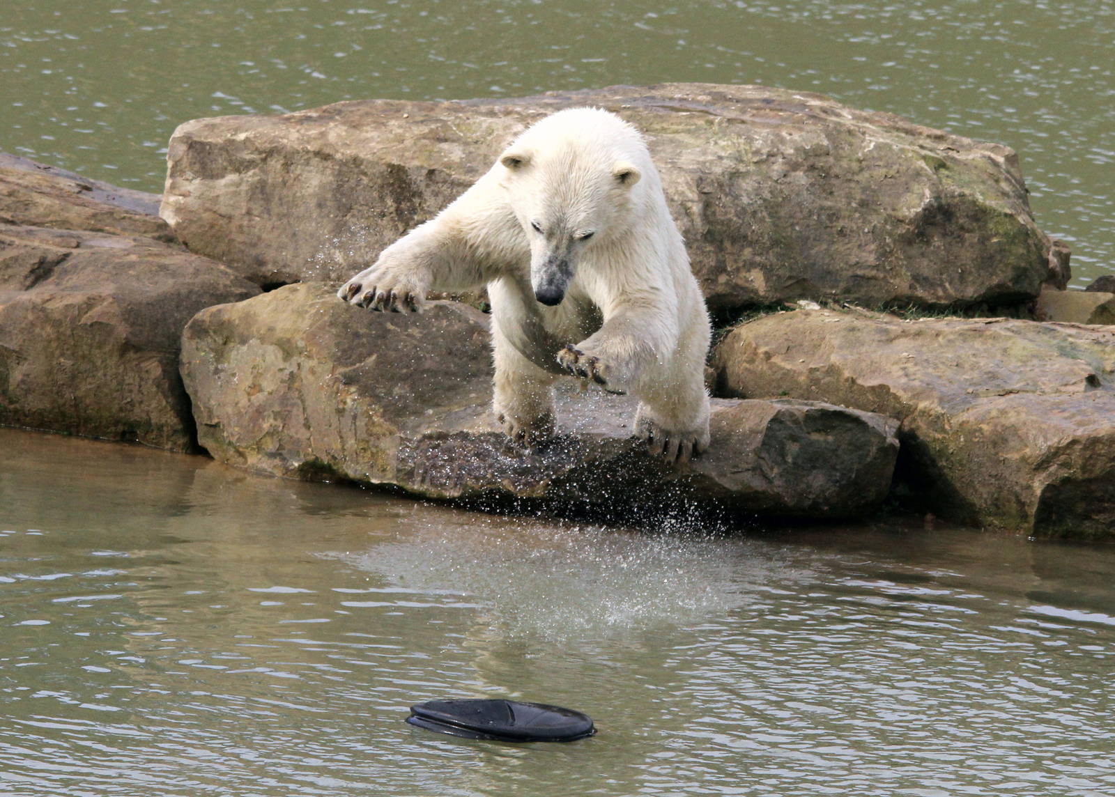 A flying Pixel 30-3-15