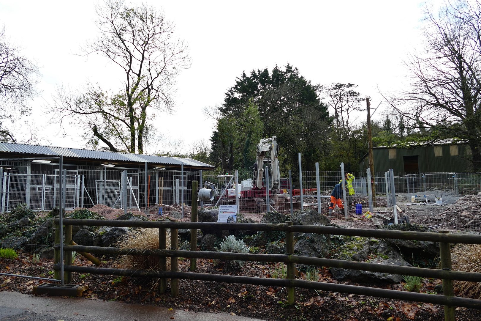 A forest of fence poles, 21 November 2022