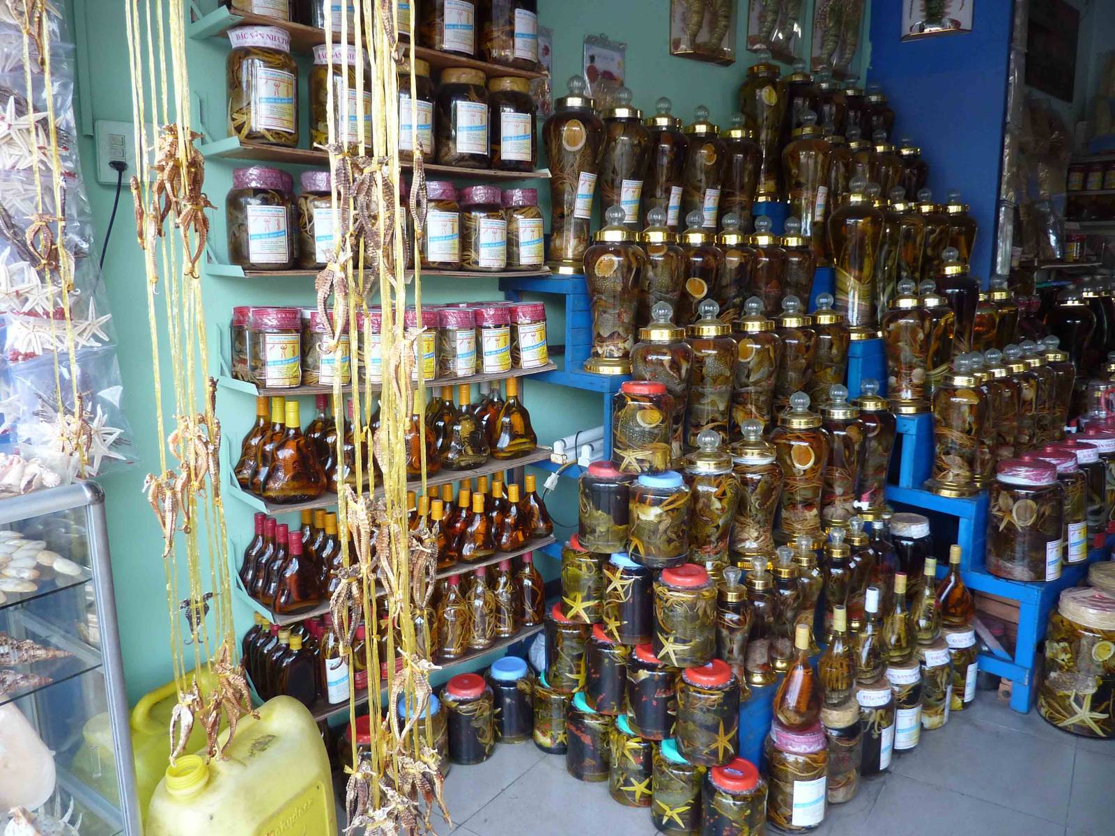 A forestful of wildlife, May 2013.