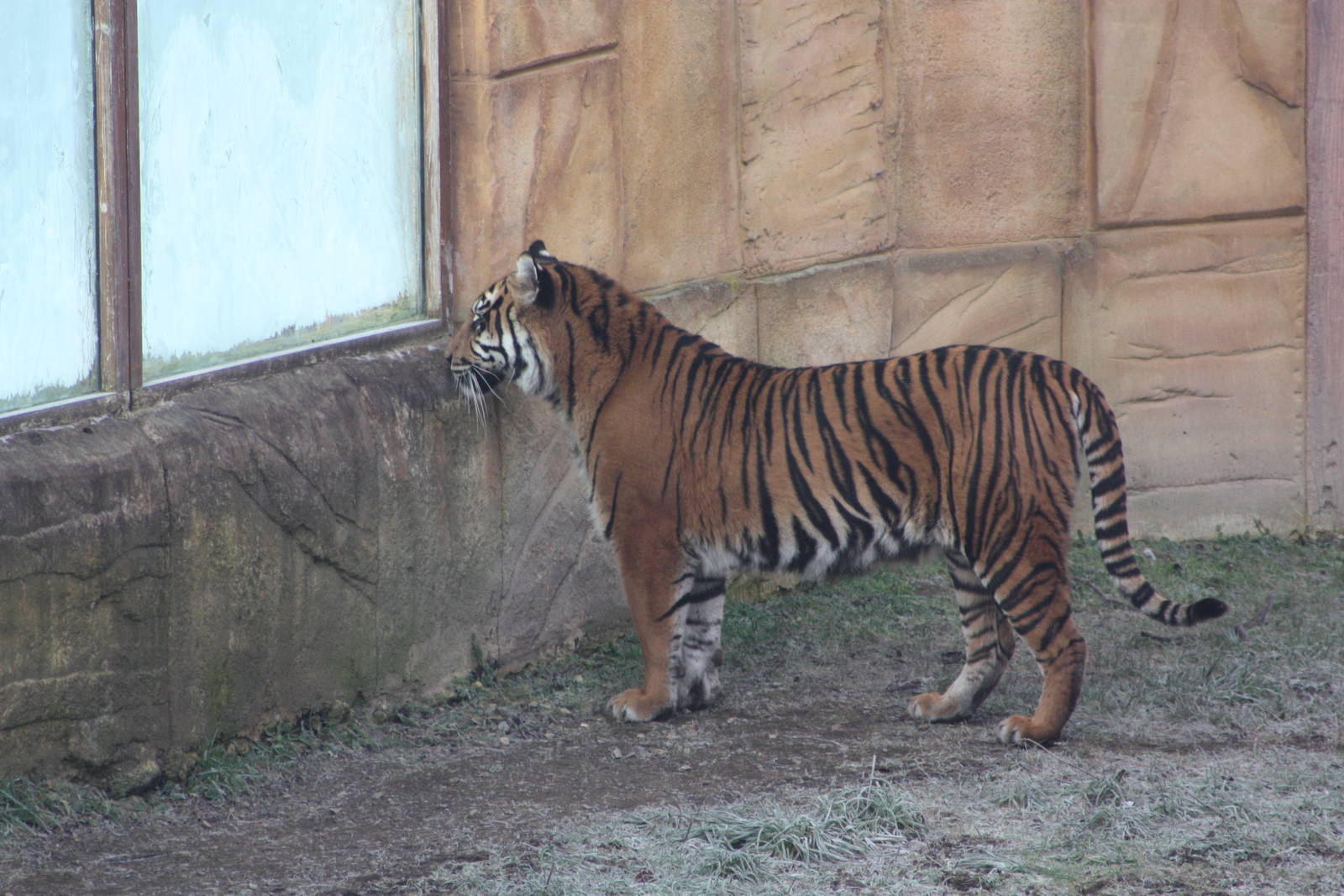 A frosty start, 30th December 2014