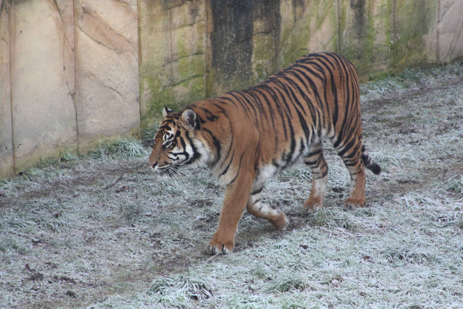 A frosty start, 30th December 2014