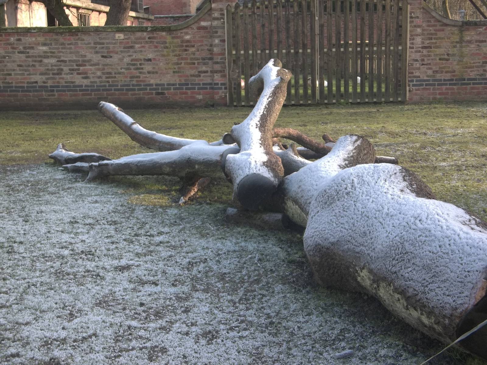 A frosty start, 30th December 2014