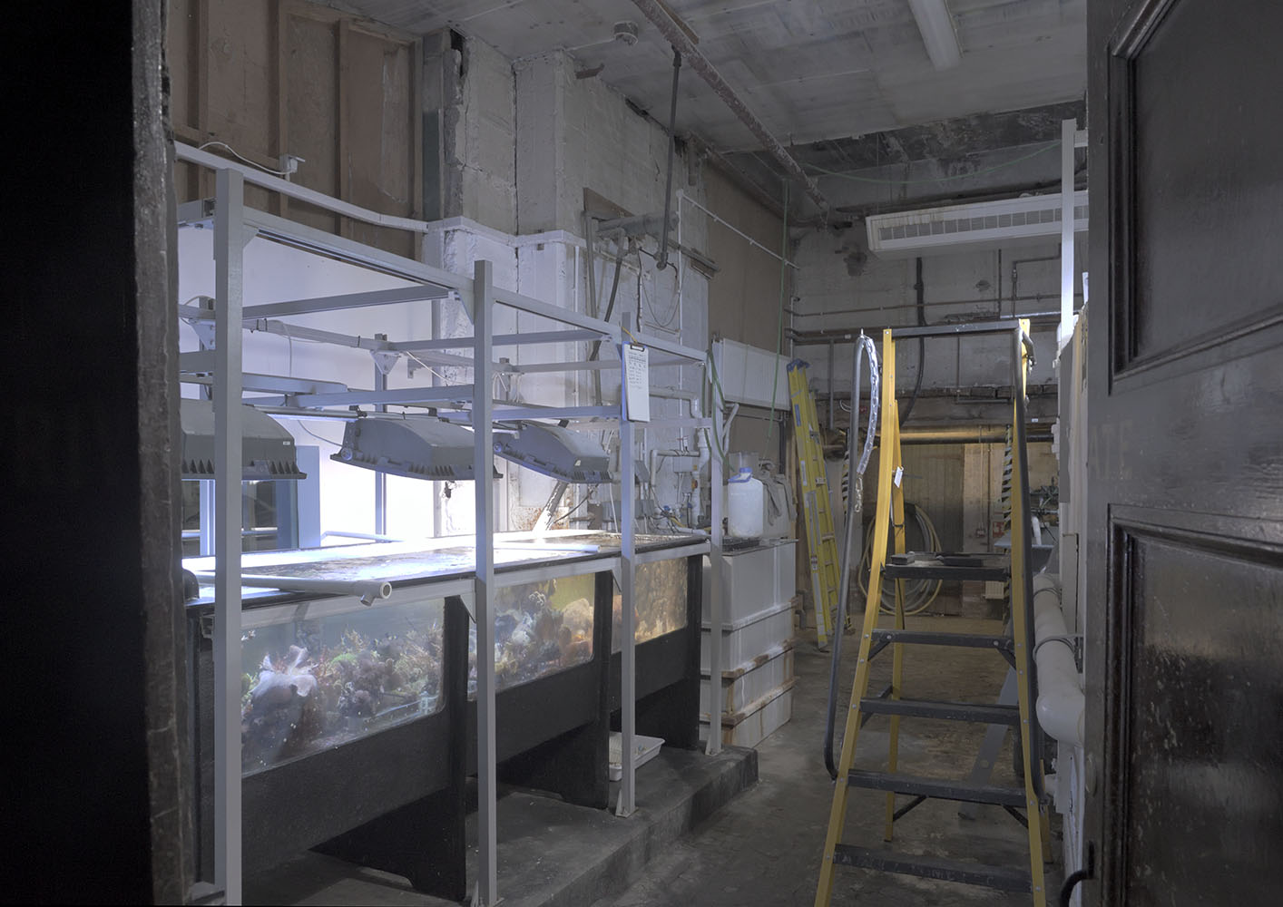 A glimpse behind the scenes