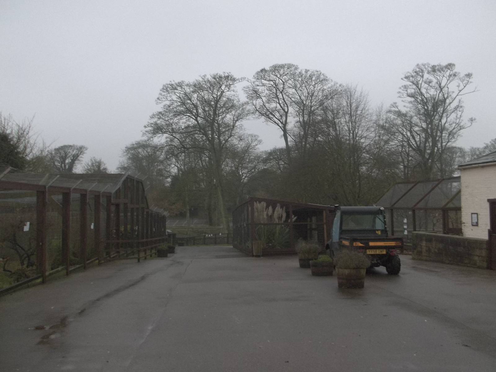 A gloomy afternoon at the zoo I, 28th November 2014