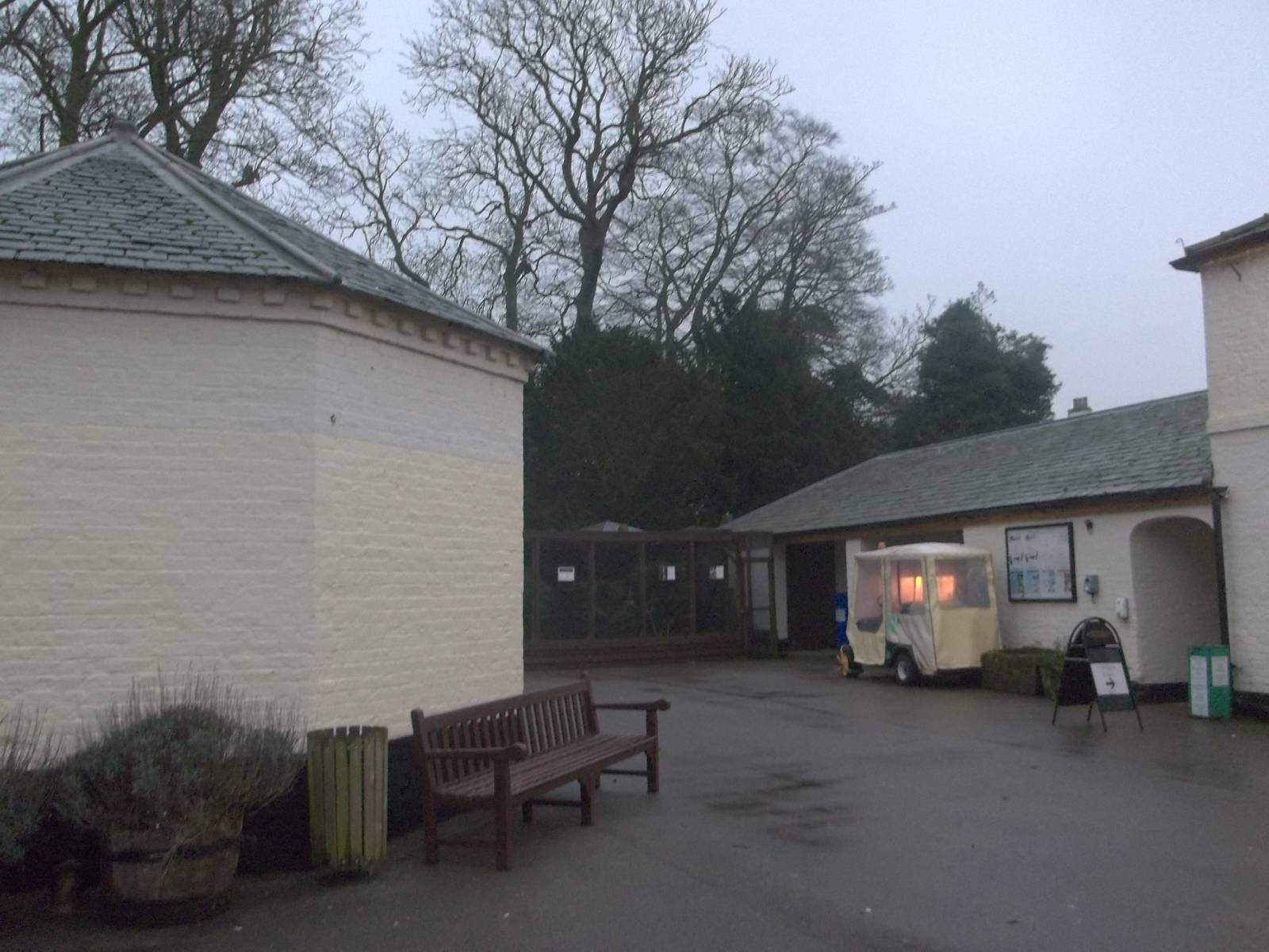 A gloomy afternoon at the zoo II, 28th November 2014