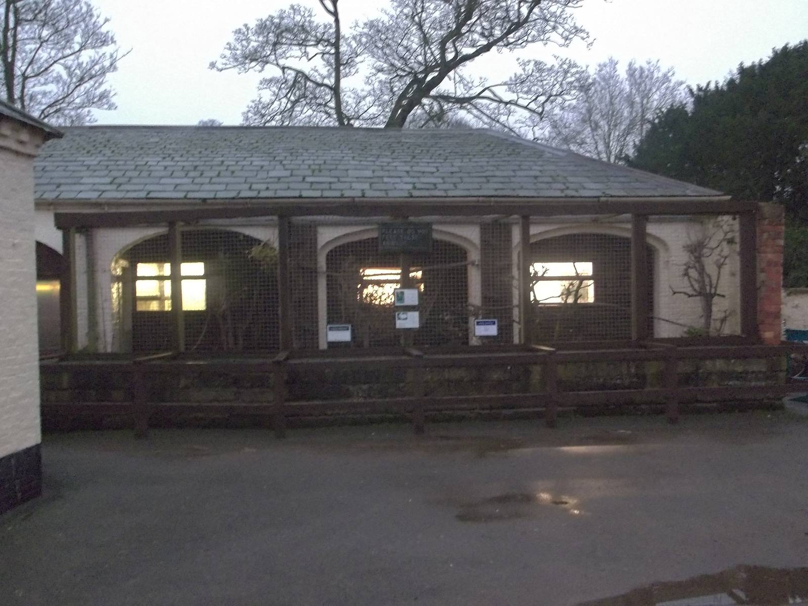 A gloomy afternoon at the zoo III, 28th November 2014