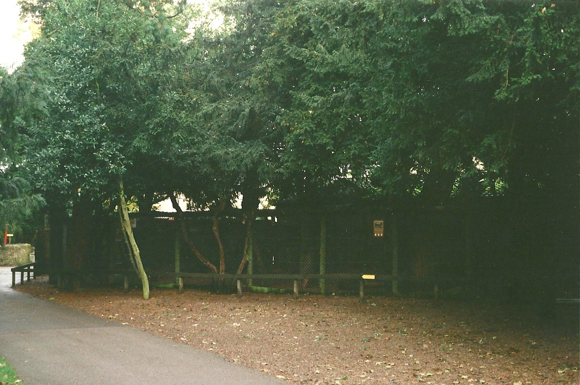 A gloomy shot of the Owl aviaries 23rd October 1999