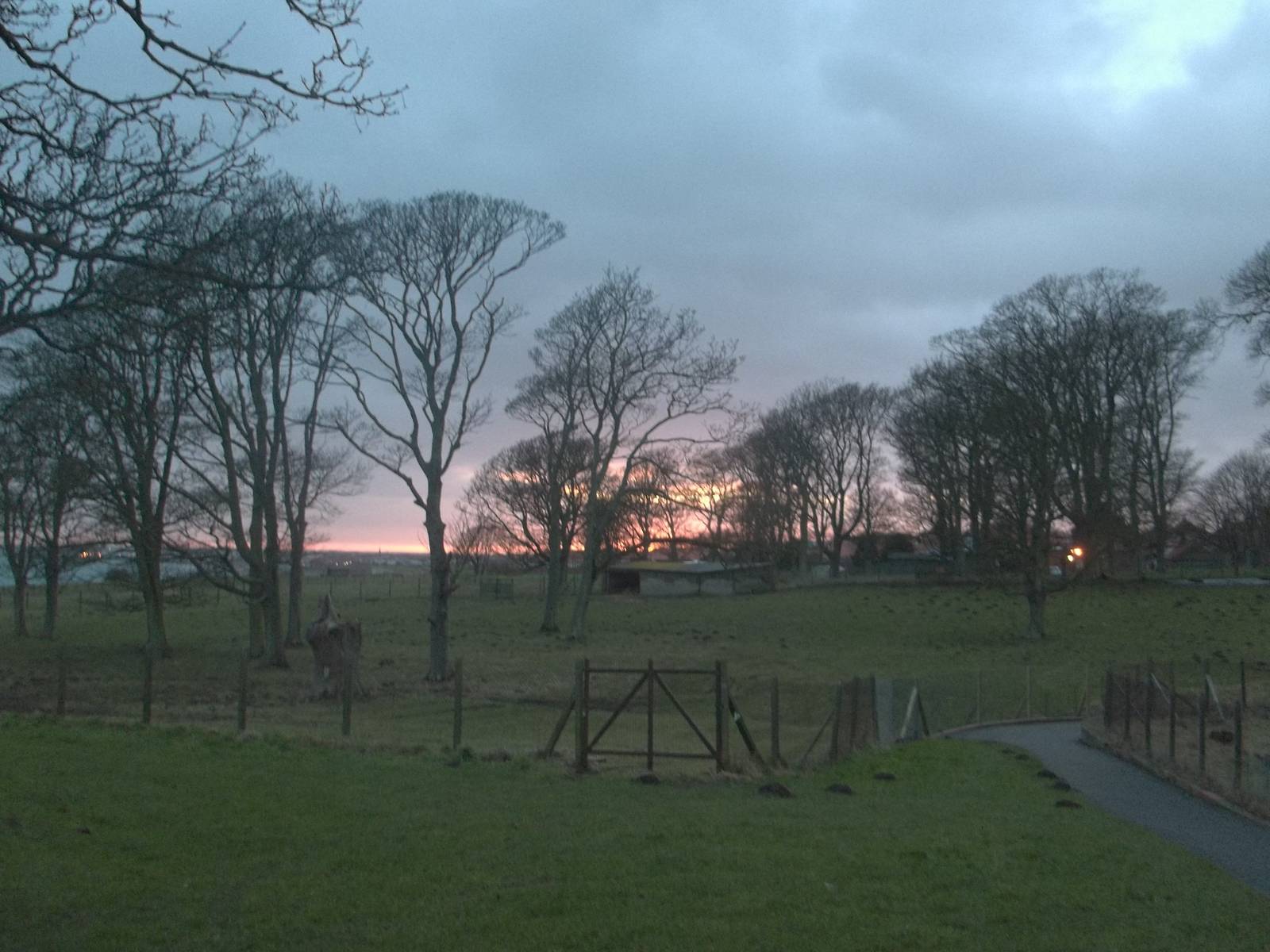 A glow over the deer shelter, 31st January 2015