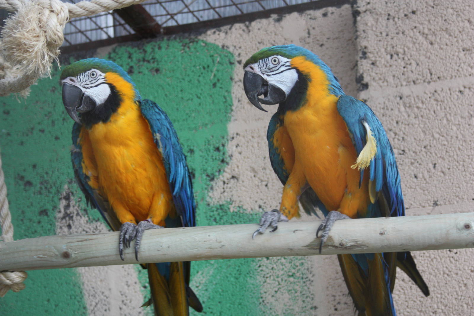 A good start - the first exhibit, 23rd September 2014