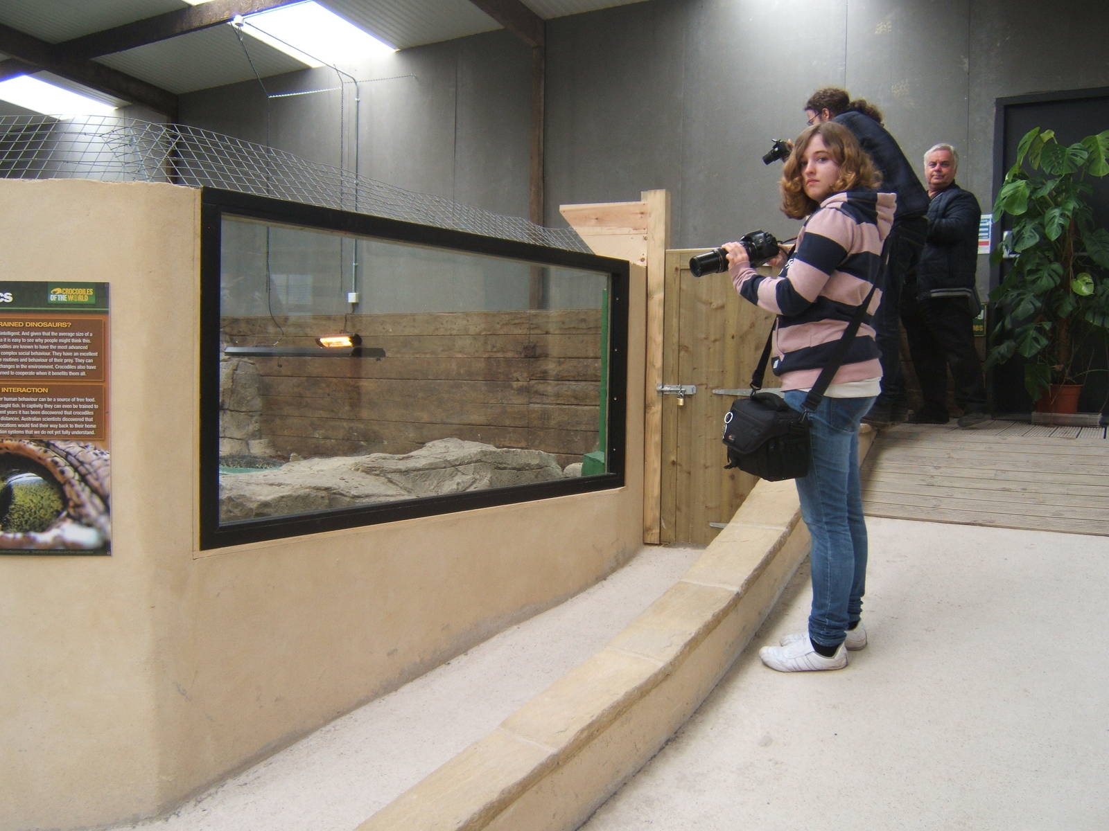 A group of zoochatters photographing South African Nile Crocodiles