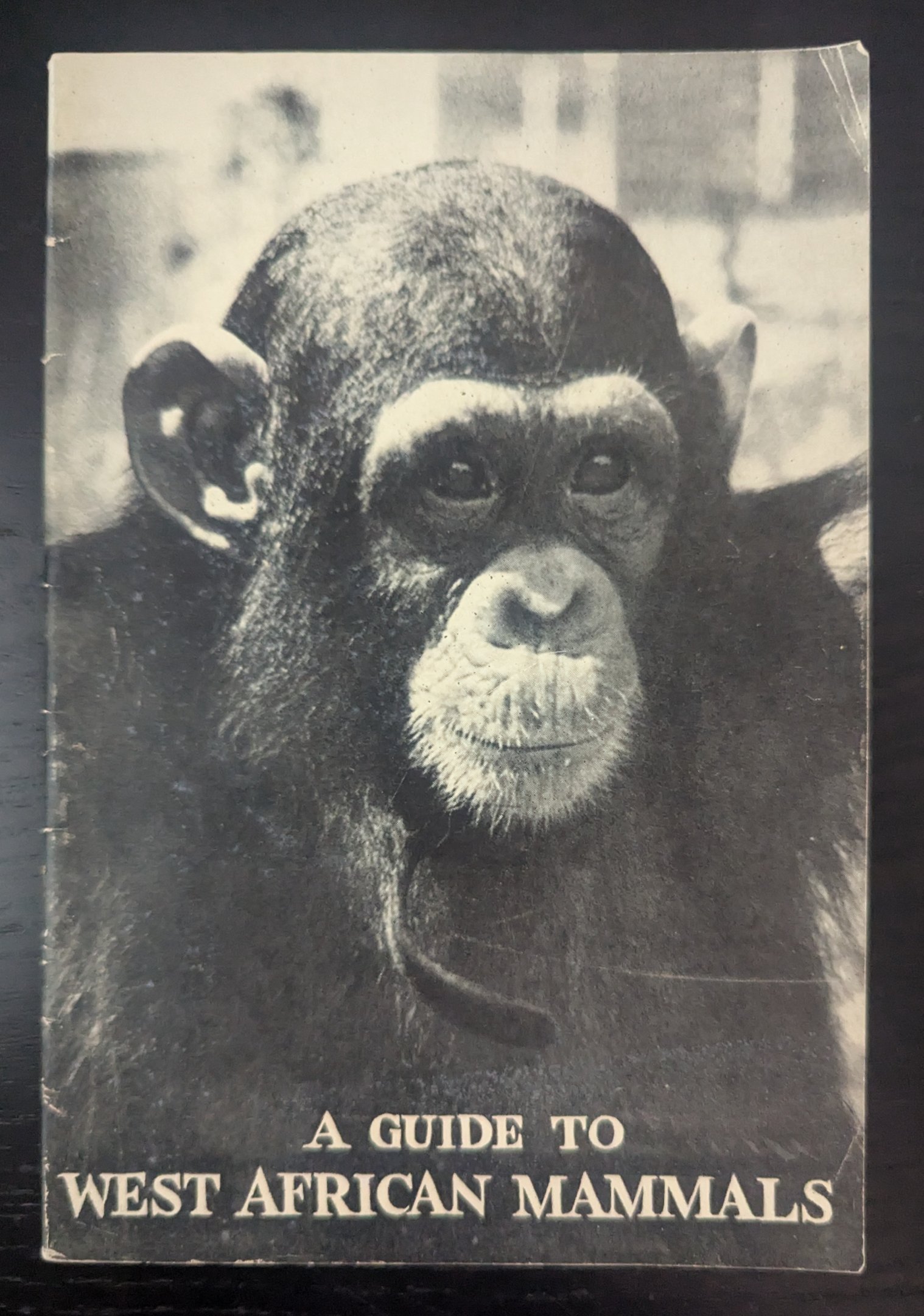 A Guide to West African Mammals